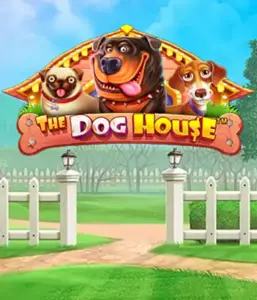 Experience Pragmatic Play's The Dog House, bringing you a delightful adventure through lovable dogs. Enjoy gameplay elements such as sticky wilds, perfect for providing entertaining gameplay. Perfect for those who enjoy a lighthearted theme and the opportunity to win big.